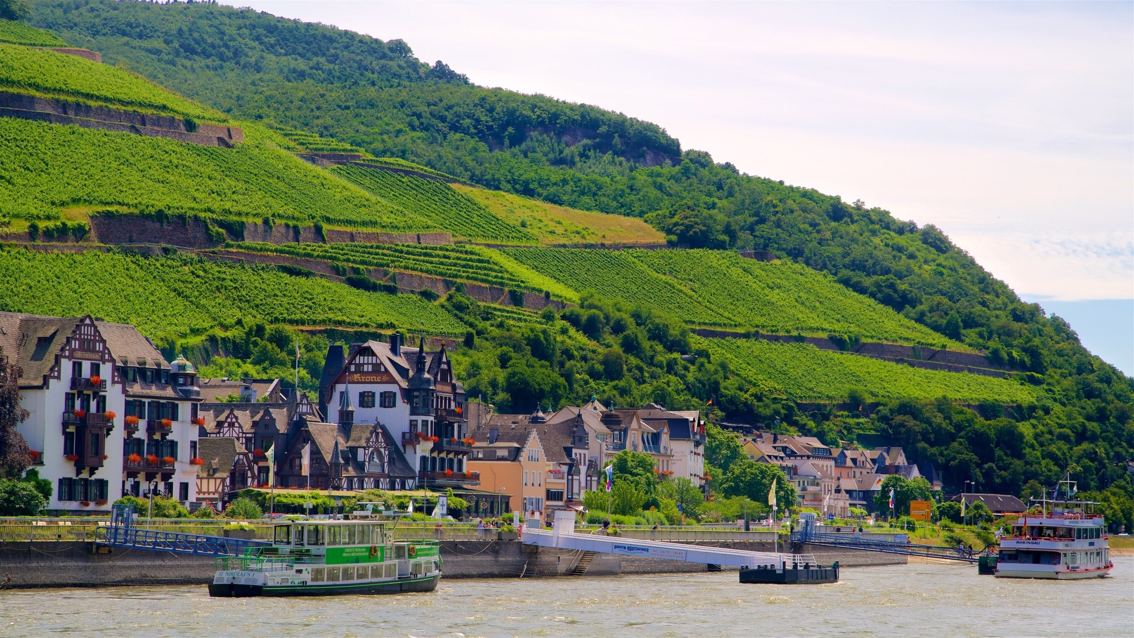Assmannshausen which includes a river or creek, a small town or village and farmland