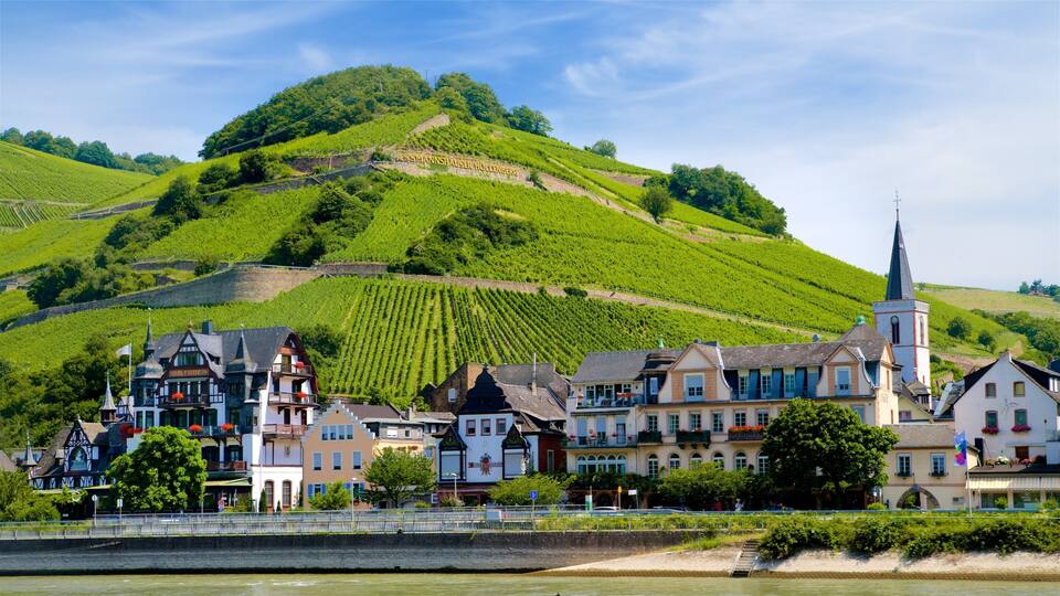 A town with vineyards on a hillside, a church, and colorful buildings by a river.