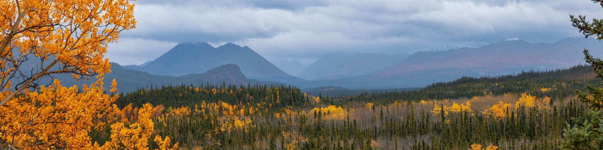 Scenic landscape of Alaskan wilderness aerial panoramic view near Healy, Alaska on a cloudy autumn day.