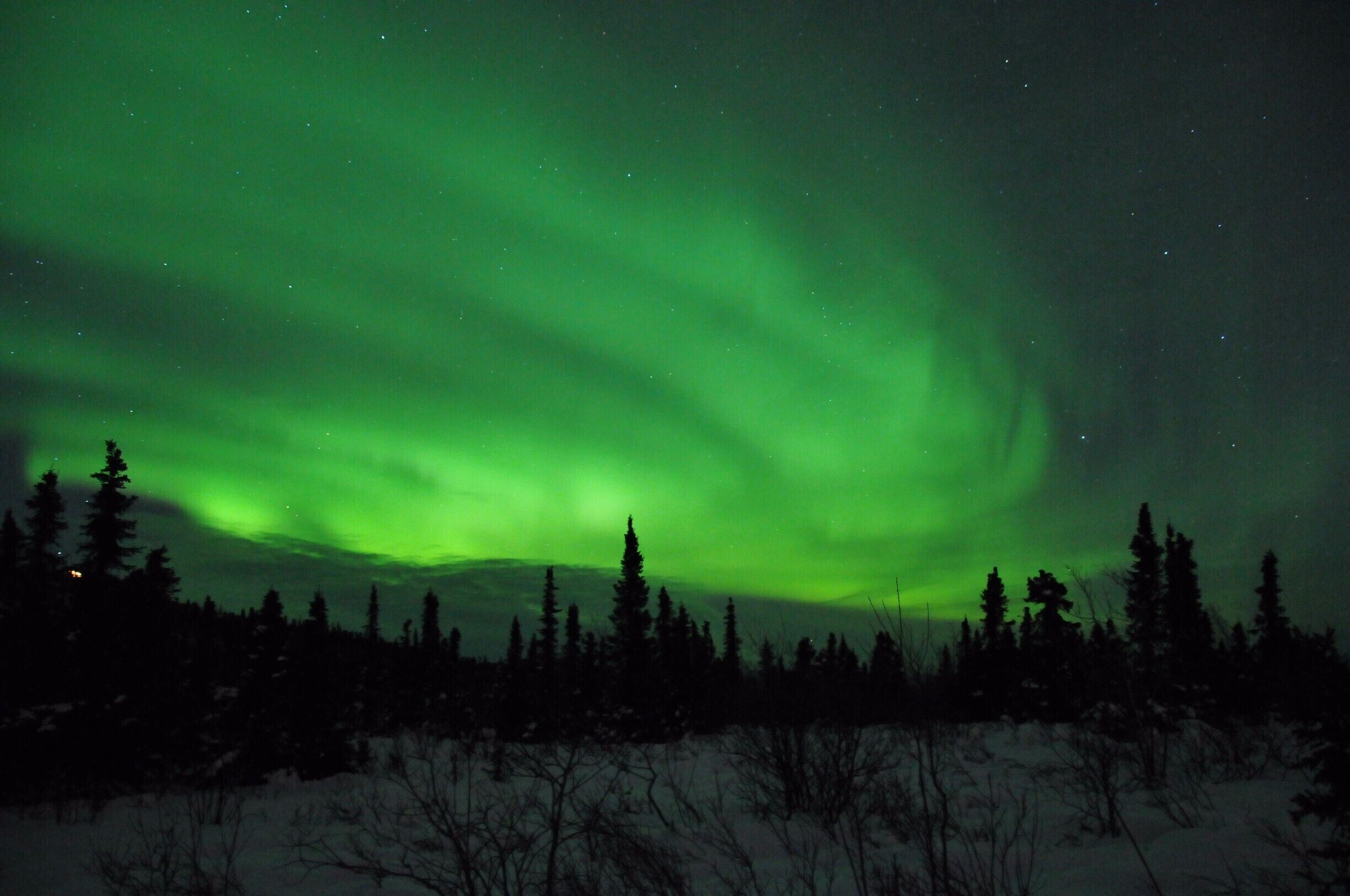 i said yes! #LifeAtExpedia #northernlights