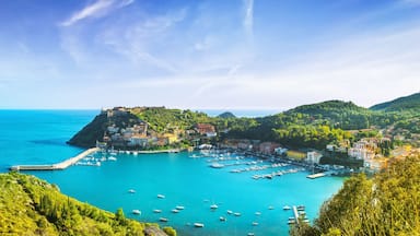 A coastal town with a harbor, boats, and a castle on a hill.