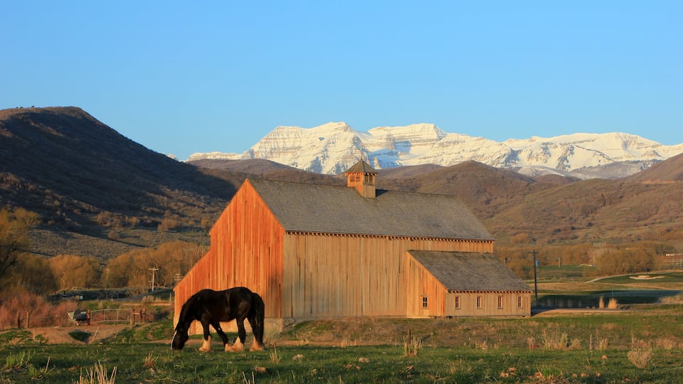 A wooden barn with a horse grazing in front, set against a backdrop of snow-capped mountains.