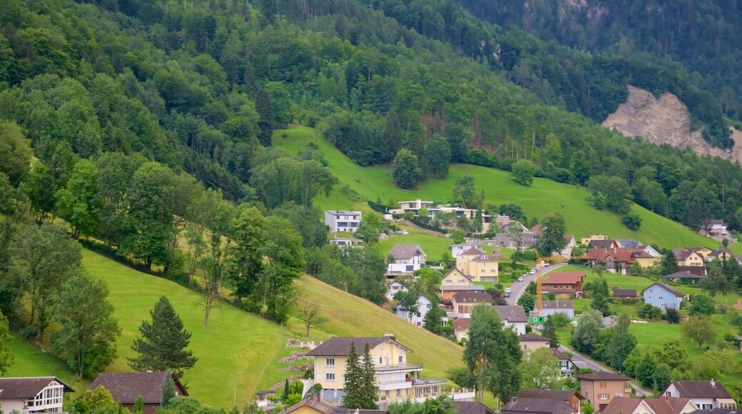 Liechtenstein som inkluderer rolig landskap og liten by eller landsby