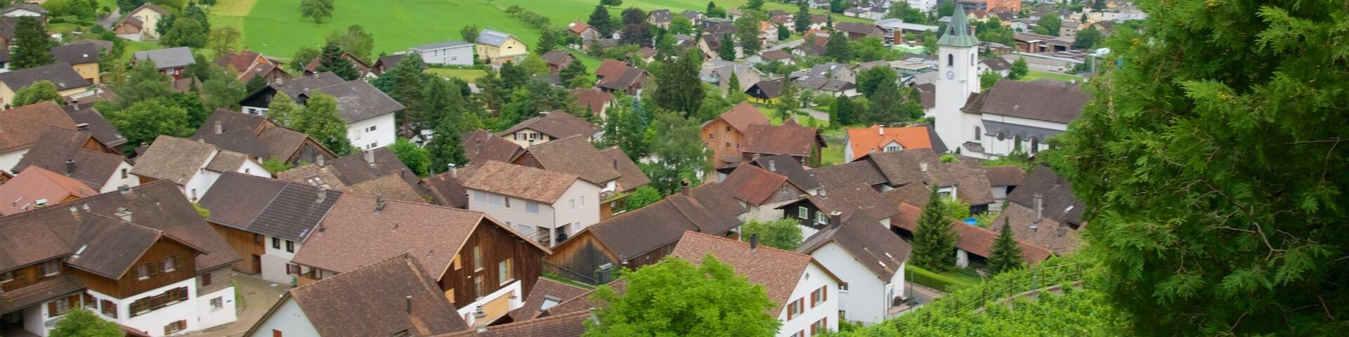 Liechtenstein showing farmland, tranquil scenes and a small town or village