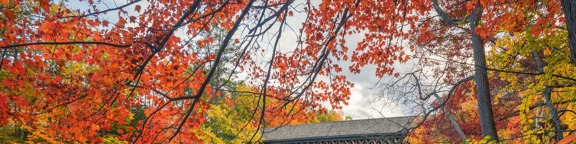 A traditional wooden bridge over a pond surrounded by autumn foliage.