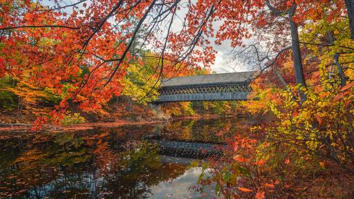 Hinniker Covered Bridge In Autumn