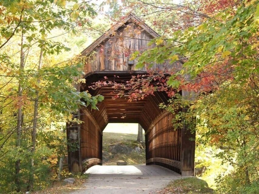 Nothing like a morning walk in the only henniker on earth
