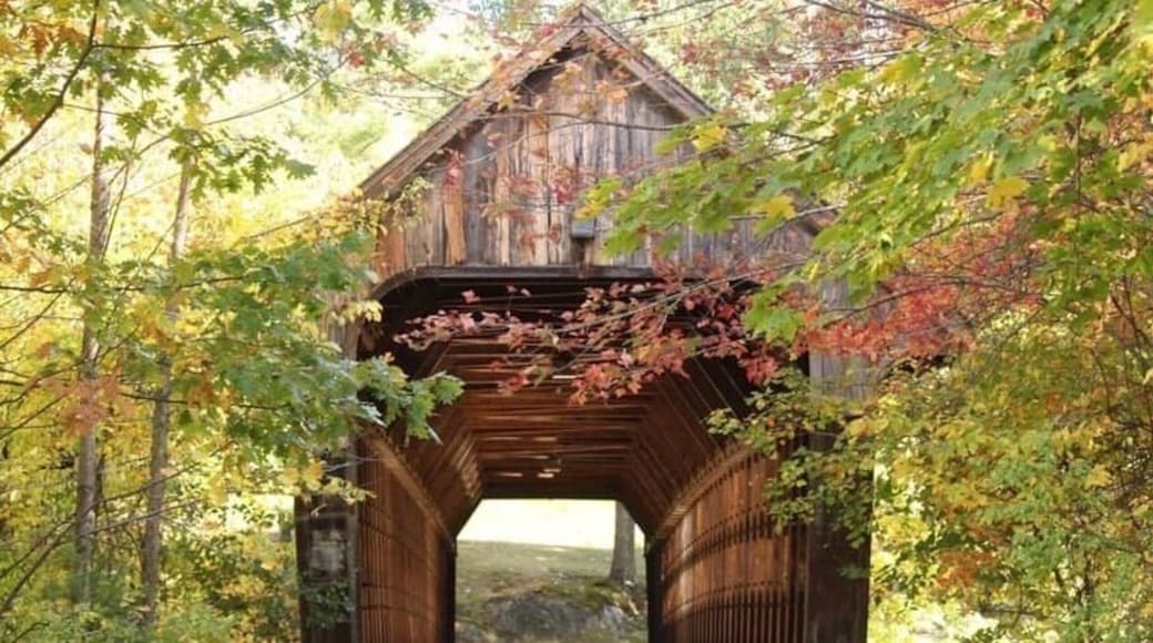 Nothing like a morning walk in the only henniker on earth