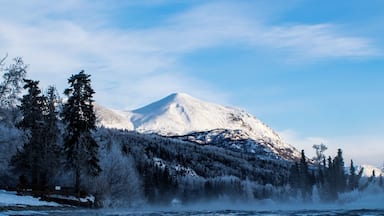Une montagne enneigée, avec une rivière au premier plan.