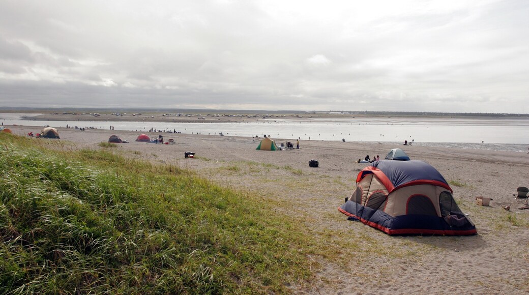 Kenai showing a sandy beach, camping and a bay or harbor