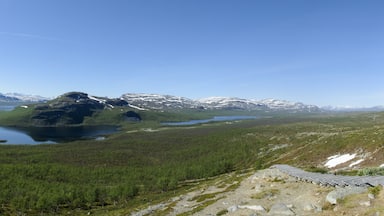 A mountainous landscape with a lake, forested areas, and a wooden boardwalk.