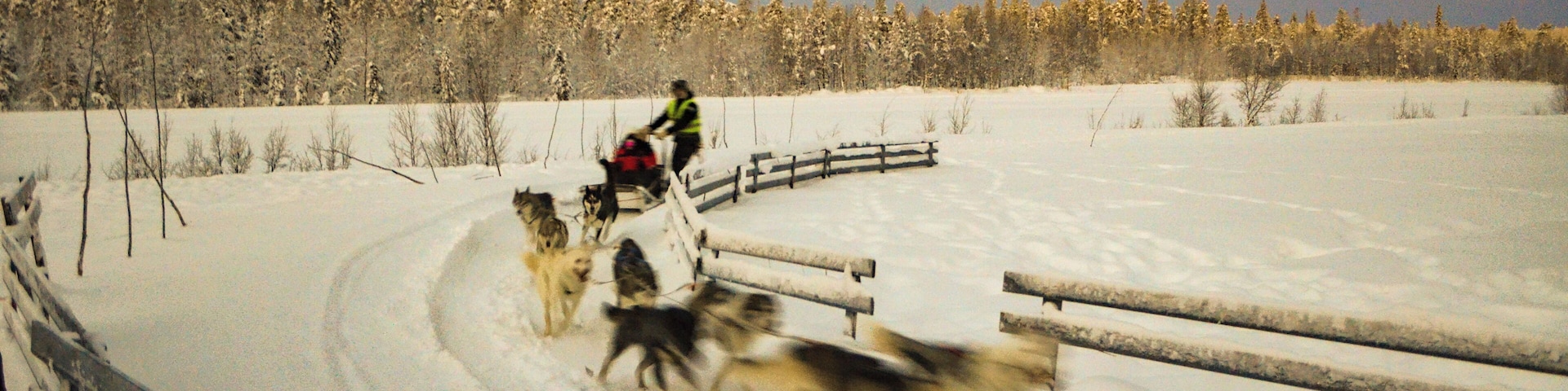 Un paisaje nevado con una persona montando a caballo, rodeada por una manada de perros.