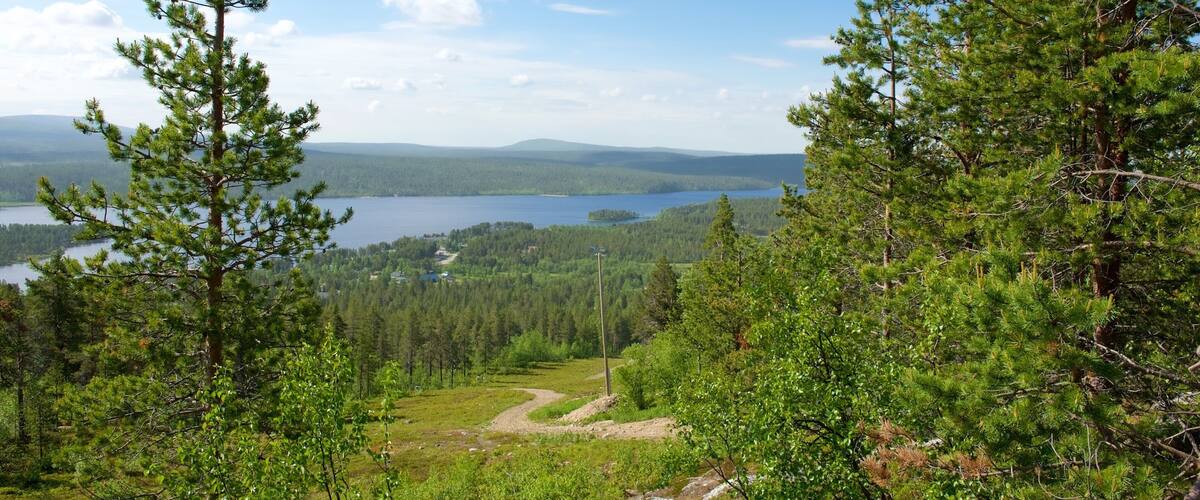 A mountainous landscape with dense forests, a lake, and a clear sky.