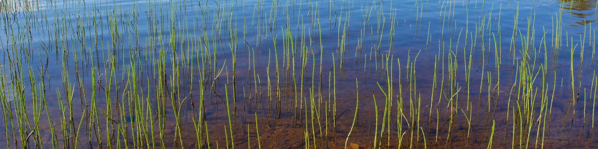 Enontekio showing landscape views, wetlands and a river or creek