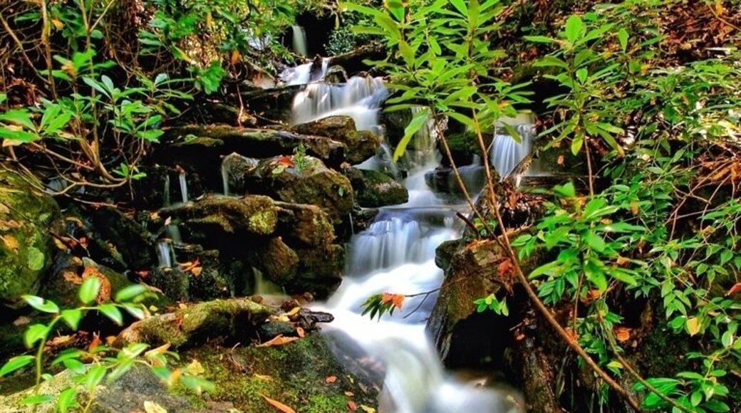 Pretty water fall found when exploring a back road