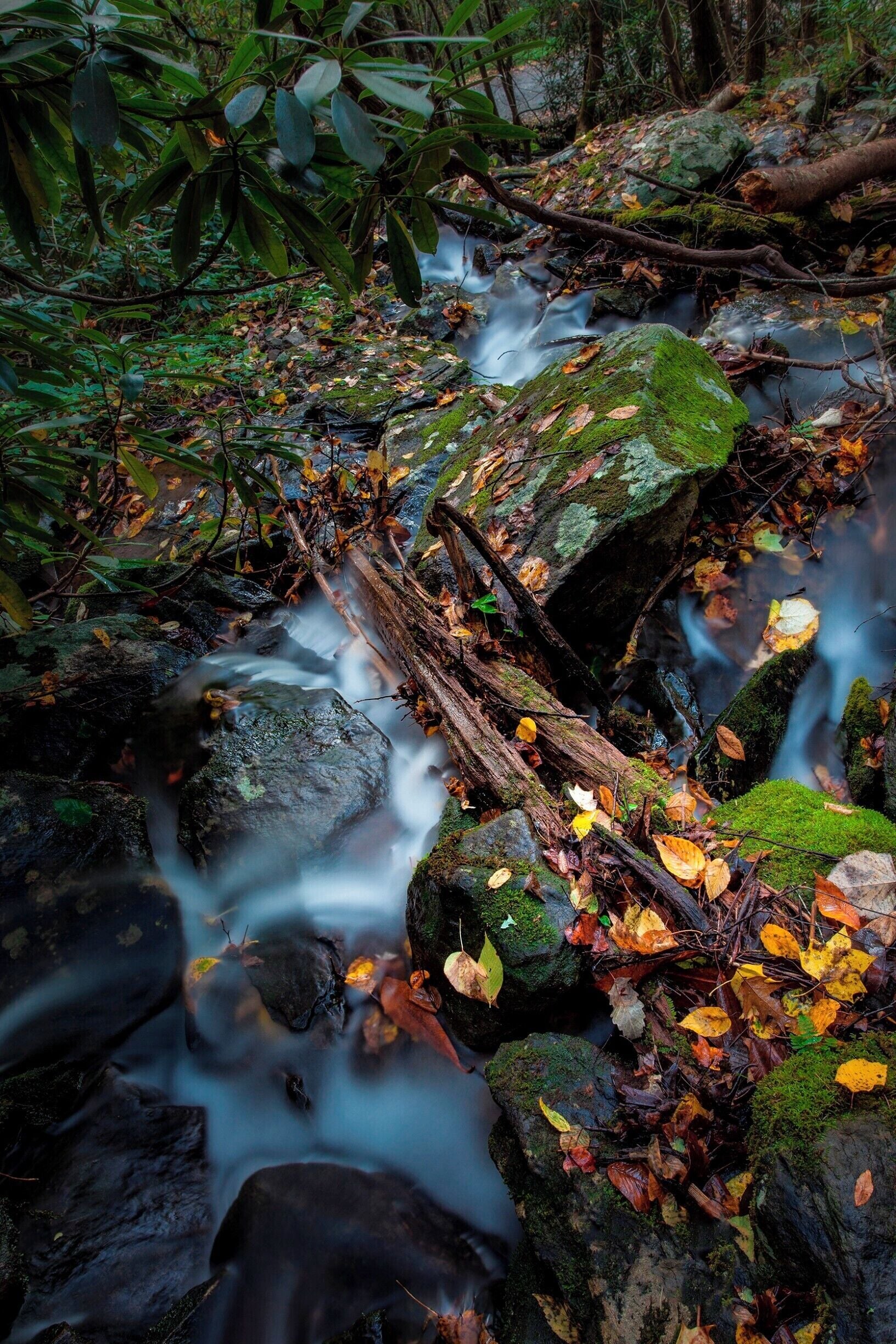 Wonderful little cascade up the side of the hill. 