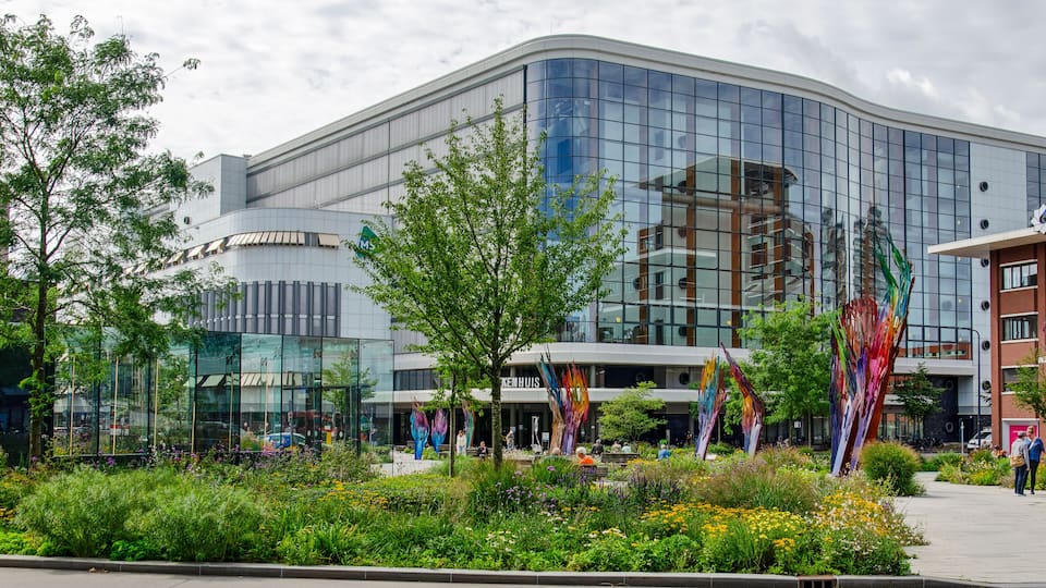 Enschede, The Netherlands, August 9, 2023: lots of greenery on central Koningsplein square with inthe background the hospital