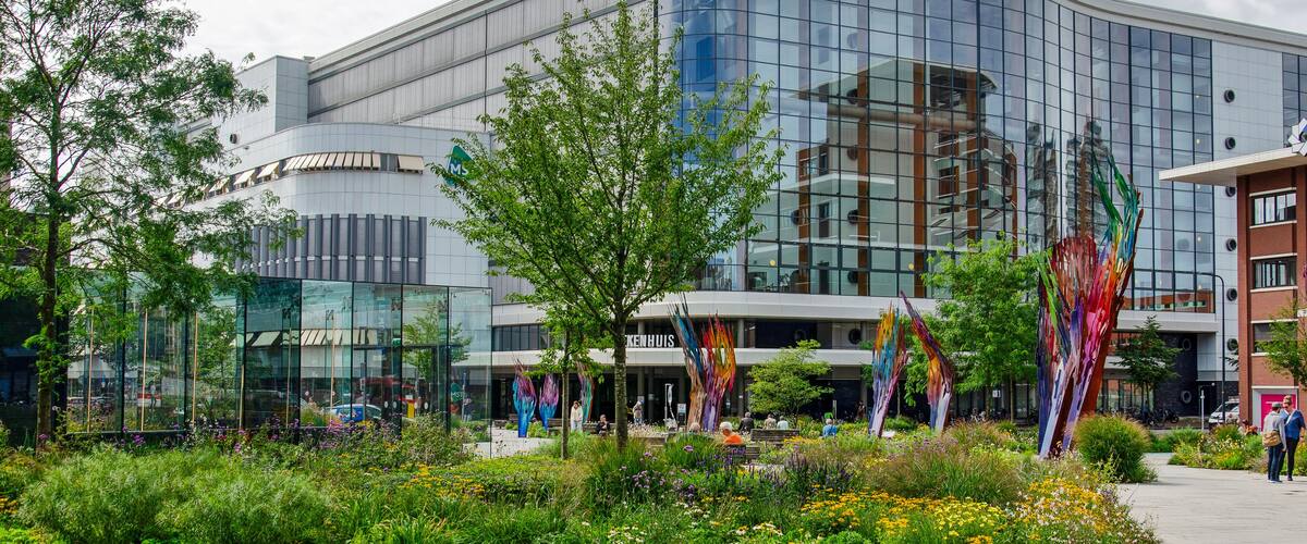 A modern building with glass windows and a landscaped garden with colorful sculptures.