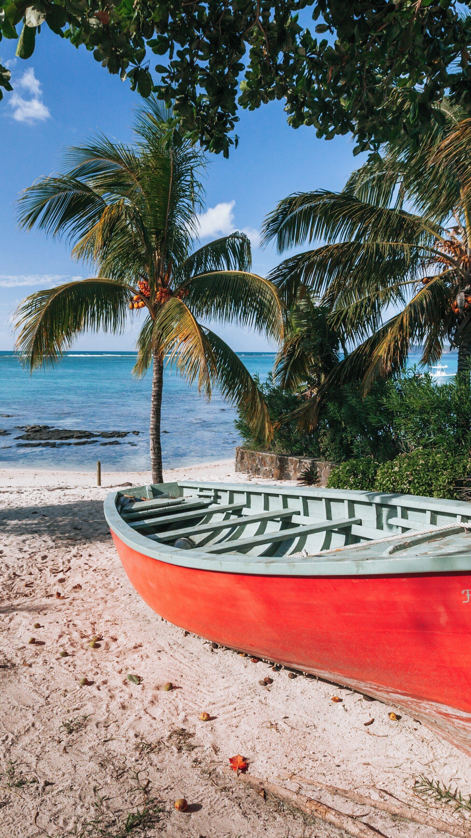 Beautiful Pereybere Beach in Grand-Baie, Mauritius showcases a vibrant boat amidst palm trees under a clear blue sky