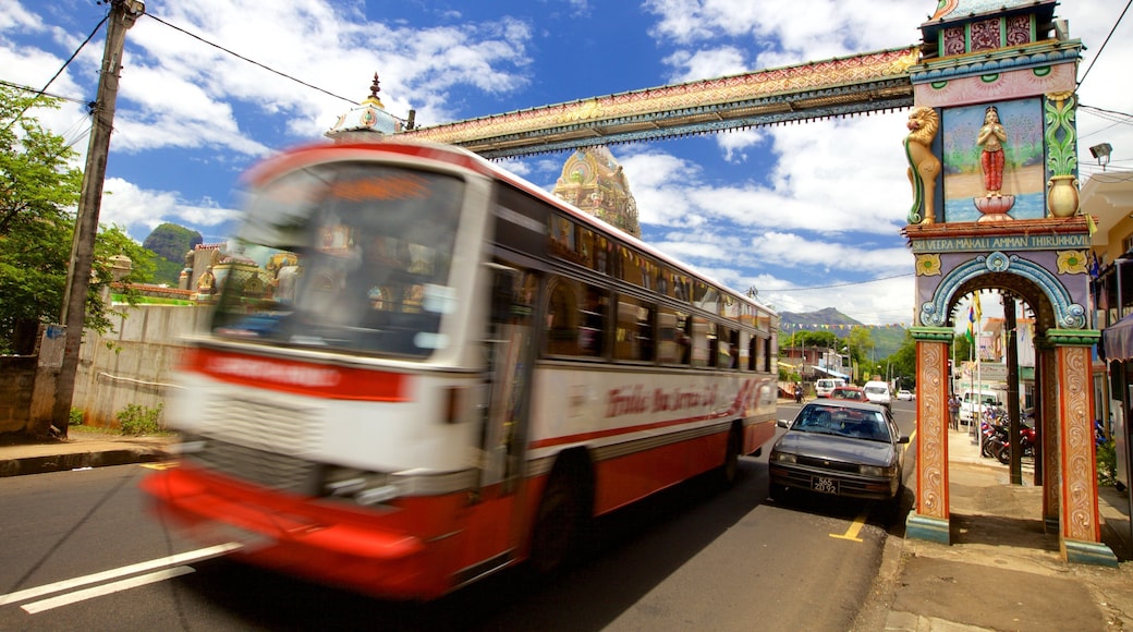 Mauritius som viser en by