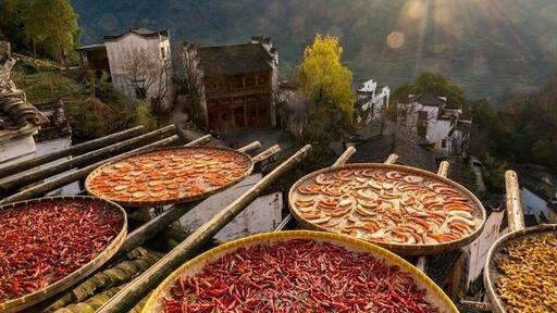 篁岭晒秋人家 Traditional Farmer II Huangling Village
挂在山崖上的篁岭古村,地无三尺平,自然条件的局限却激发了先民的想象和创造力,从而在无意间造就了一处中国绝无仅有的“晒秋人家”风情画。篁岭古村数百栋徽派民居在百米落差的坡面错落有序,每当日出山头,晨曦映照,整个山间村落饱经沧桑的徽式民居土砖外墙与晒架上、圆圆晒匾里五彩缤纷丰收果实组合,绘就出世界独一无二的“晒秋”农俗景观、最美乡村符号。