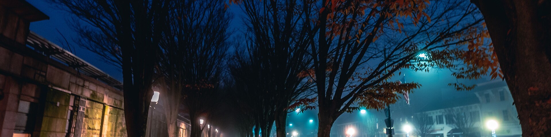 Rua arborizada à noite, com postes de luz, um edifício à esquerda e um fundo nebuloso.