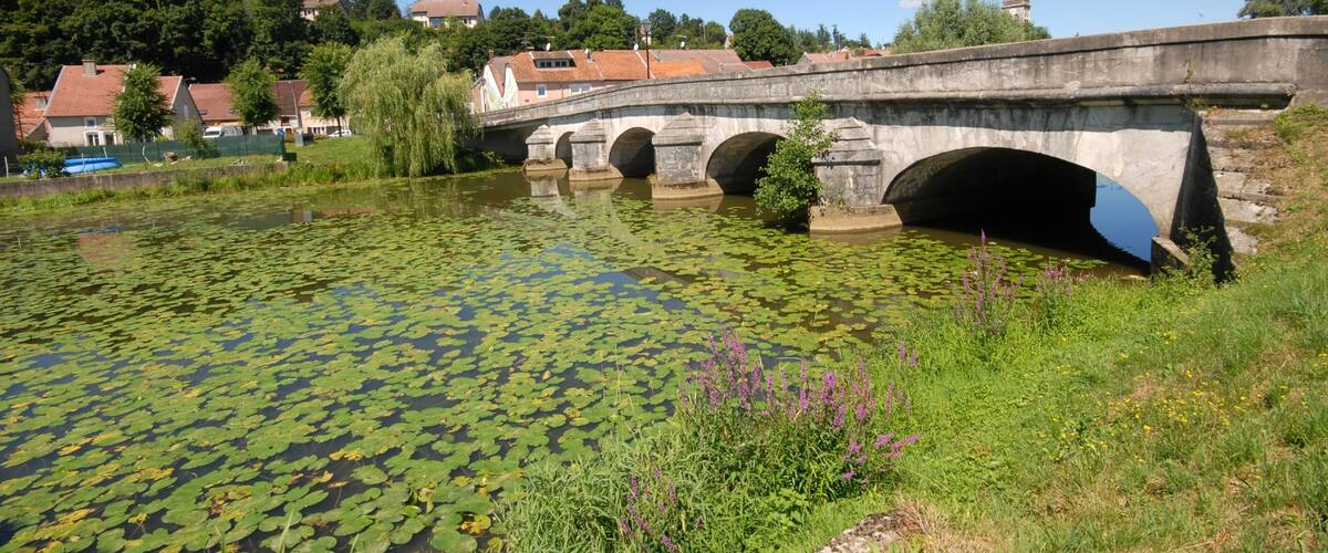 Epinal featuring a bridge, a river or creek and flowers