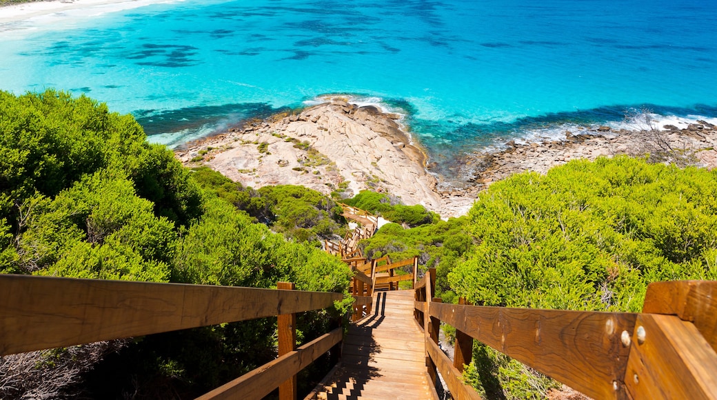 Wooden path at Observatory Point Great Ocean Drive Western Australia, Shutterstock ID 90110317, Purchase Order: -