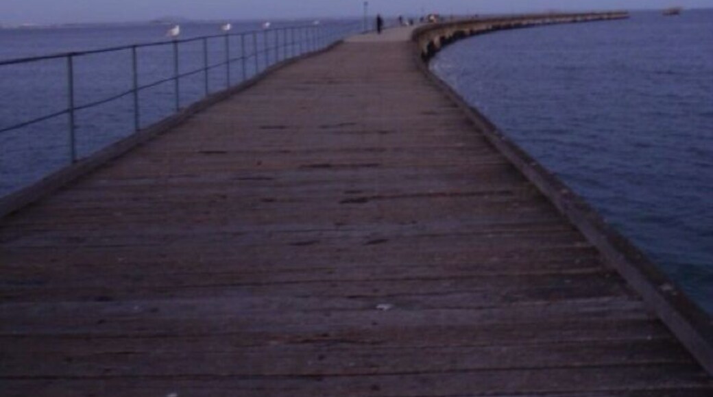The jetty by moonlight