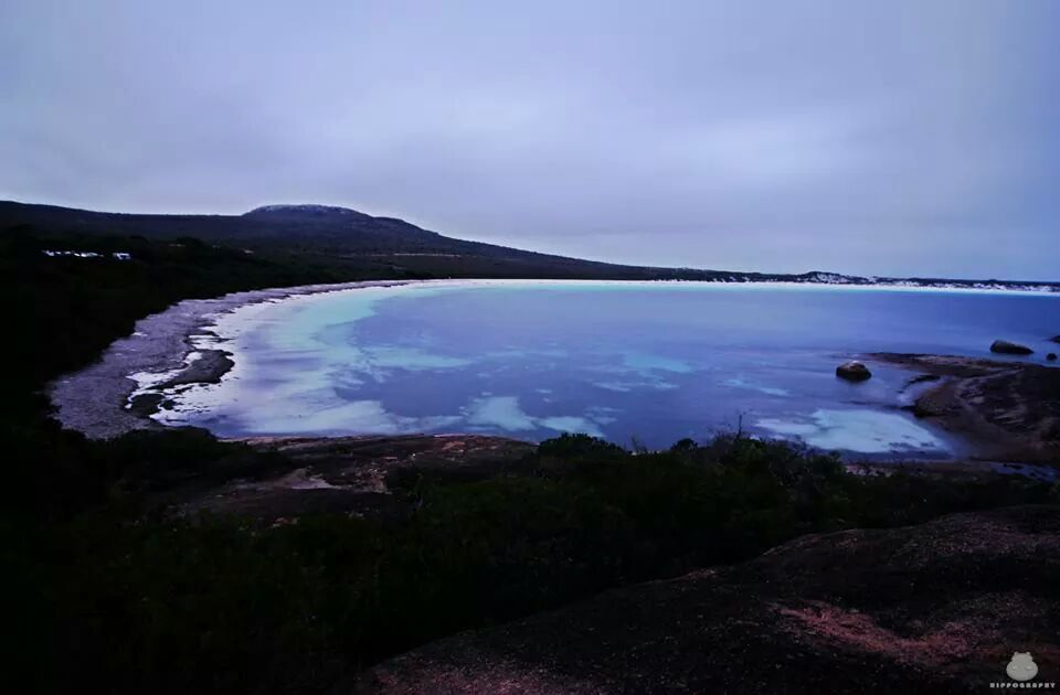 Was scientifically awarded the whitest #beach in Australia, the sand at Lucky Bay literally glows at night under moonlight!