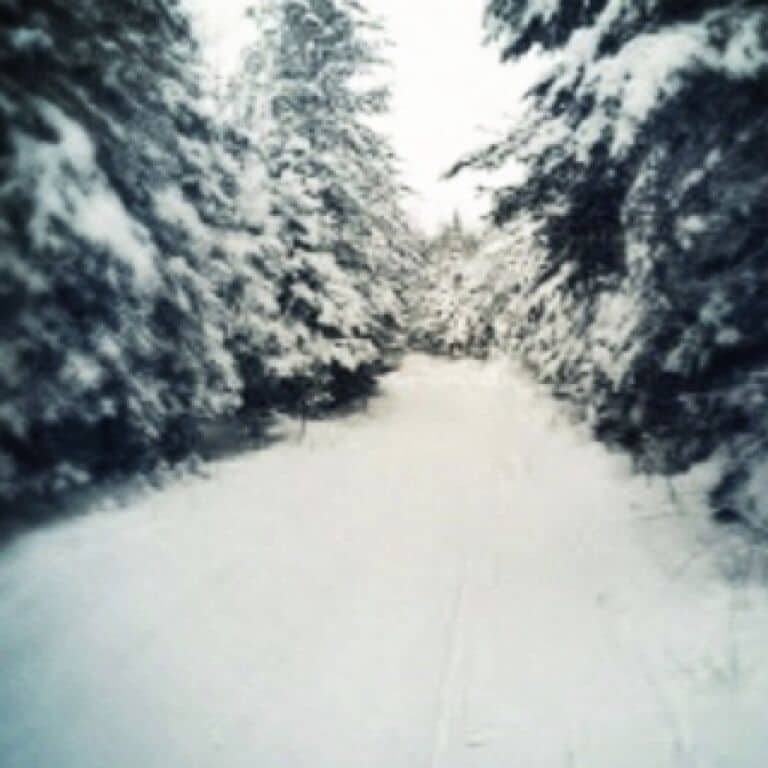 One of the many hundreds of trails in the Atlanta State Forest Area. 
The Area is comprised of over 280,000 acres of state forest lands in Cheboygan (east of Black River), Presque Isle, Alpena, and Montmorency Counties. 
It has a wide variety of land types, from lowland swamps to jack pine plains to rolling hardwood hills. Aspen types make up almost 25% of the cover. Lowland types, both coniferous and deciduous, comprise another third. 
In addition, numerous non-game species occur, including the Kirtland's Warbler in the Clear Lake Area. Pine Martins are becoming a more regular sight, and in the winter of 2004-05, the first wolf siting in the Lower Peninsula was confirmed.
Numerous recreational opportunities are available. Fourteen rustic campgrounds and hundreds of miles of trails, both motorized and non-motorized, provide an outdoor experience in all seasons.
Many inland lakes and rivers are located in this area of the state, offering a wide variety of excellent fishing, boating, and swimming opportunities. 

http://www.theenchantedforest.com/html/atlanta.html

#Michigan #PureMichigan #StateForest #Trail #TwoTrack #OffRoad #treetrove