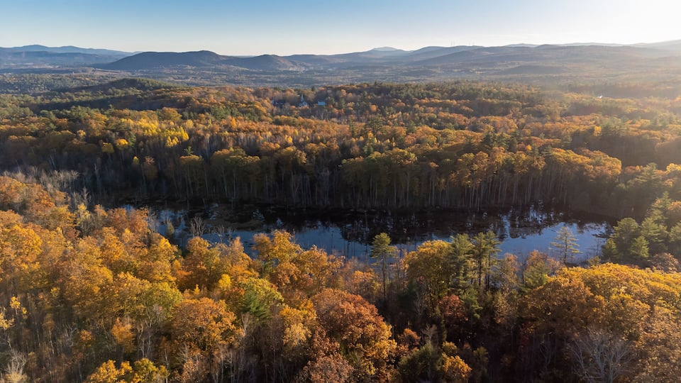 A forested landscape with a lake and distant mountains.