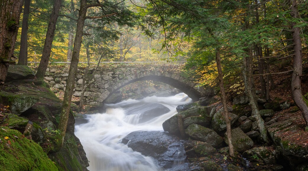 Stone arched bridge over waterfalls with fall foliage in Hillsborough, NH, New England