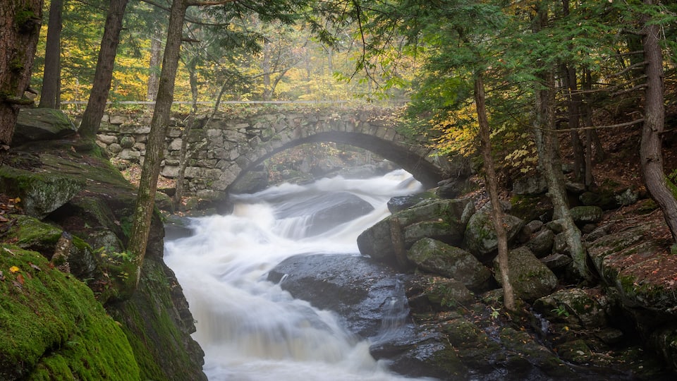 A stone bridge over a fast-flowing river in a forested area with autumn foliage.