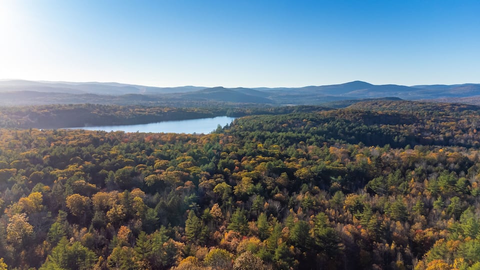 A forested valley with a lake and distant mountains.
