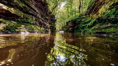 A hidden ravine with a small shallow stream flowing between rock walls in Devil's Lake State Park near Baraboo, Wisconsin, USA.