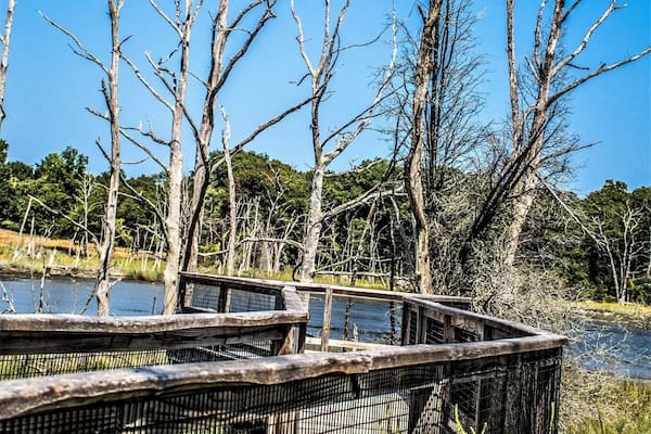 World's End is a 251-acre park and conservation area located on a peninsula in Hingham, Massachusetts. The peninsula is bordered by the Weir River to the North and East and Hingham Harbor (part of Hingham Bay, and Boston Harbor) to the West.