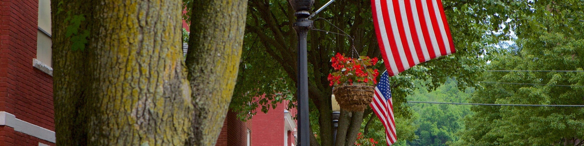 Hinton que incluye imágenes de calles