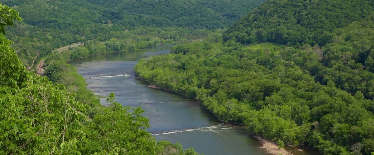 ํํผ ์ ํน์ง ํ์ ํ ํ๊ฒฝ, ๊ฐ ๋๋ ์๋ด ๊ณผ ํ๊ฒฝ