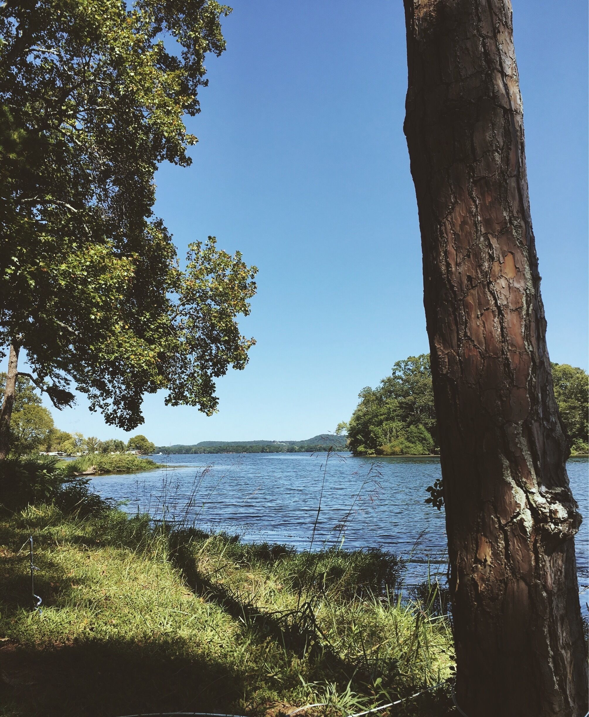 Chester Frost State Park is about 20-25 minutes north of Chattanooga. It's a great place to go car camping, kayaking, fishing, and plenty of places to hang a hammock! 