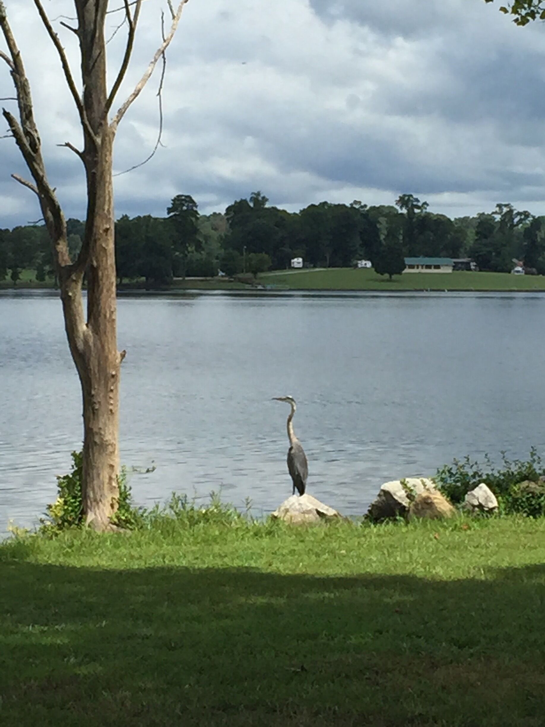 What a beautiful breathtaking place just to relax and watch the water and the nature❤️