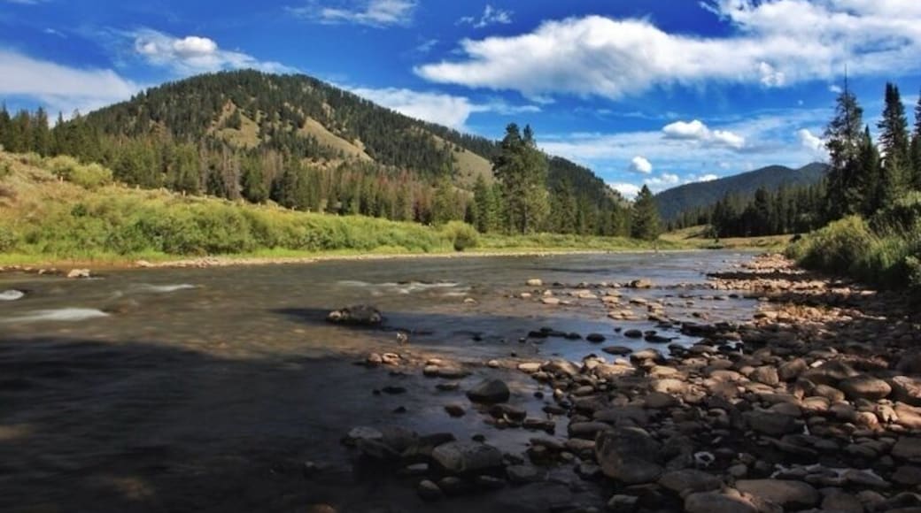 If there was ever a river that said "fish me" more, I haven't seen it. This river has it all, wide, shadowy areas, large boulders and small pools. It's a fly fisherman's dream. I never wanted a fly rod more in my life.