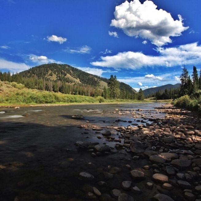 If there was ever a river that said "fish me" more, I haven't seen it. This river has it all, wide, shadowy areas, large boulders and small pools. It's a fly fisherman's dream. I never wanted a fly rod more in my life.