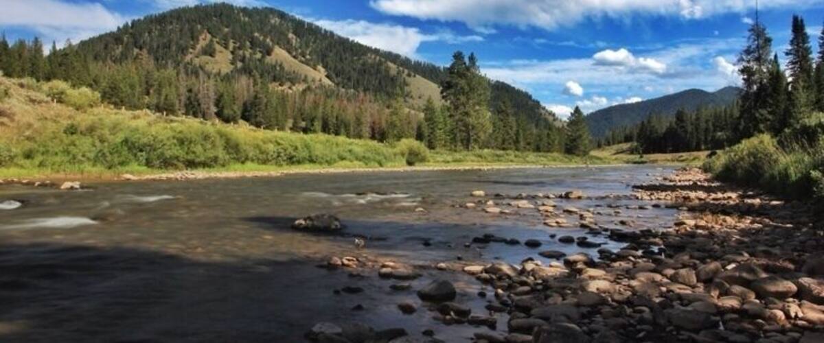 If there was ever a river that said "fish me" more, I haven't seen it. This river has it all, wide, shadowy areas, large boulders and small pools. It's a fly fisherman's dream. I never wanted a fly rod more in my life.