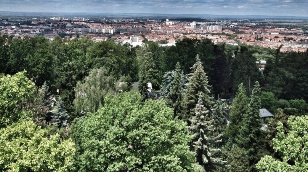 Erfurt, on Top of Bismarkturm (Open during Weekends between April and September)