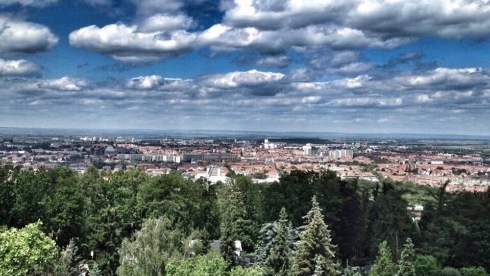 A cityscape with a dense forest in the foreground and a clear blue sky with scattered clouds.