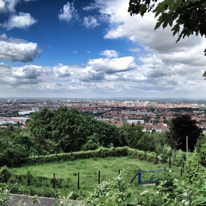 City view of Erfurt, Am Tannenwäldchen