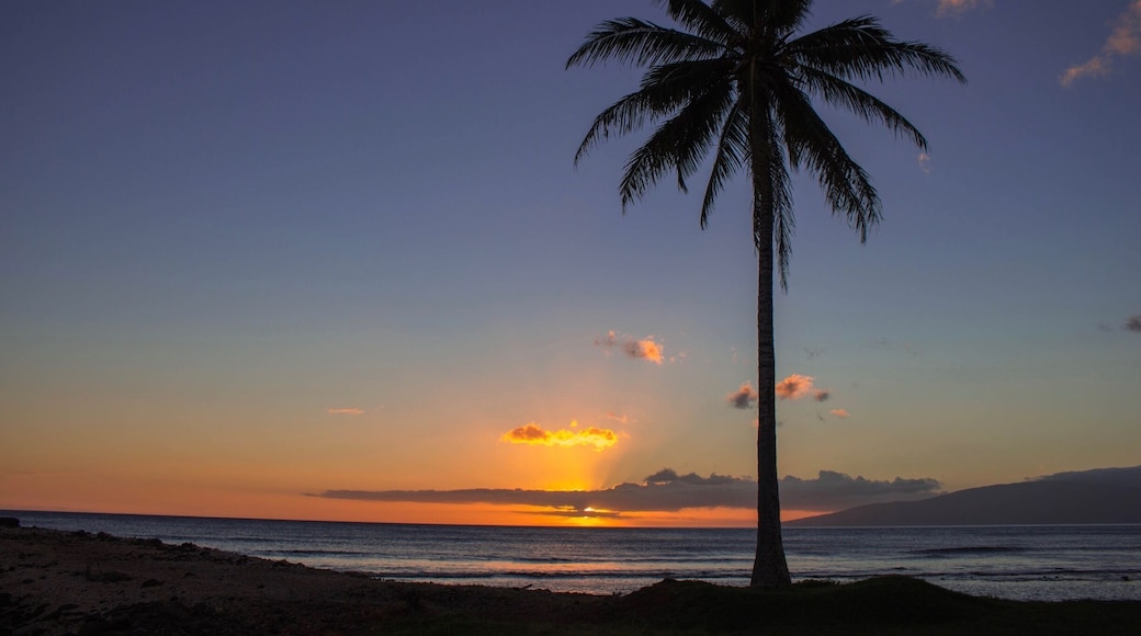 Coconut tree sunset.
#beachbound