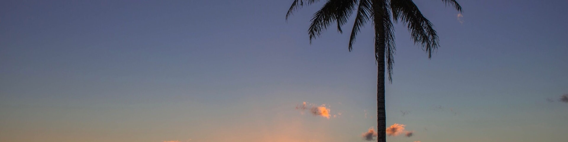 Coconut tree sunset.
#beachbound