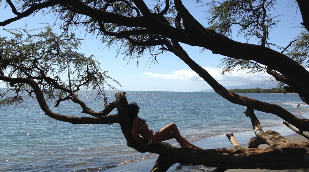 This was a great local spot for snorkeling and much less crowded than the main beaches. You literally park alongside the road at mile marker 14 and walk out onto the beach. Close to shore the water is a little cloudy but if you swim about 50 yards out, the depth increases to about 15 feet and you have clear views of some amazing fish 🐠🐟